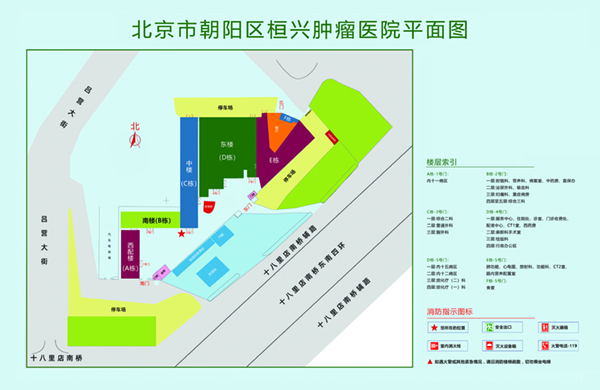 五月天操大逼大逼大鸡巴插鸡巴北京市朝阳区桓兴肿瘤医院平面图